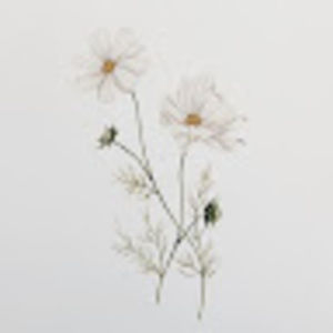 Meet your Posher, Lia